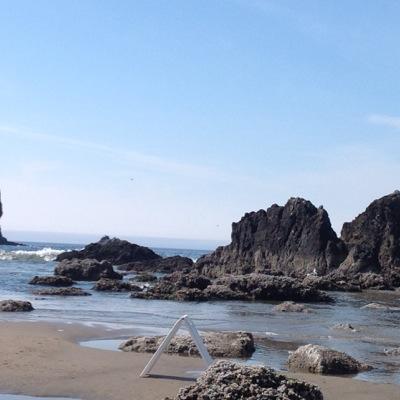 photograhyne's profile picture. 