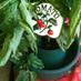 Pottery Lane Herbs (@potteryherbs) Twitter profile photo