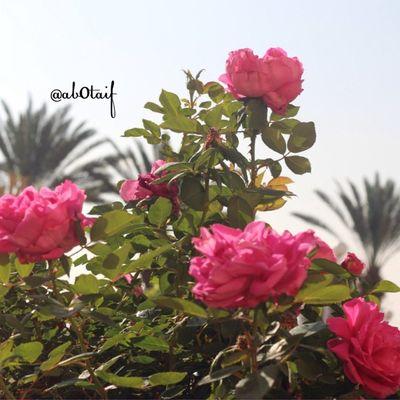 ‏‏‏استغفرالله العظيم