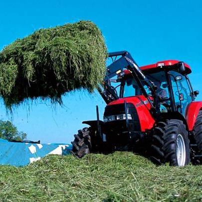Agriculture & Livestock Farming.