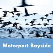 Motorport Bayside (@mbayside) 's Twitter Profile