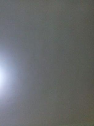 tnals11111's profile picture. 요