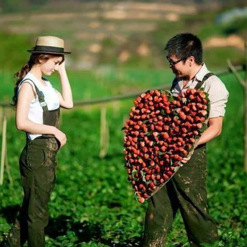 Daily1pictures's profile picture. Dailtone Pictures Blogger, Funny, Nature, animal, never seen before pictures