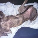 Janice Knight  - @janicek588 - Twitter