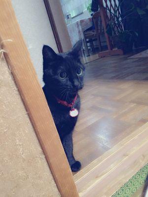 やんしさんのプロフィール画像