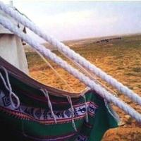 برب خروج  (@mna14564) 's Twitter Profile Photo