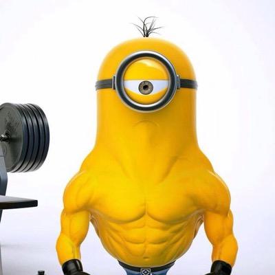 brandonwall49's profile picture. hi