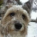 Anthony Hanlon - @ajhanlon_ - Twitter