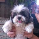 Patrick Anthony - @PRaymundo77 - Twitter