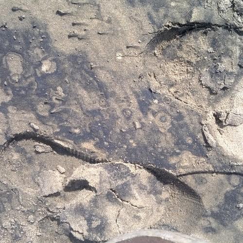 Louislkruger's profile picture. Video artist, musician, graphic designer...that's what I do. Pretty much, oh ja and study, study, study!