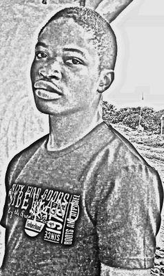 Graduate of applied biology, public health expert, a website/web app designer, data analyst