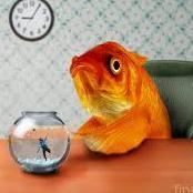 zagas_altan's profile picture. 