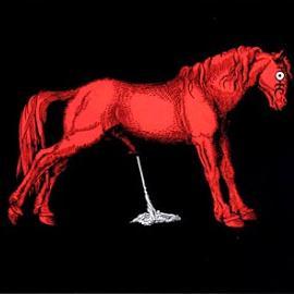 NoMorninGlory's profile picture. 