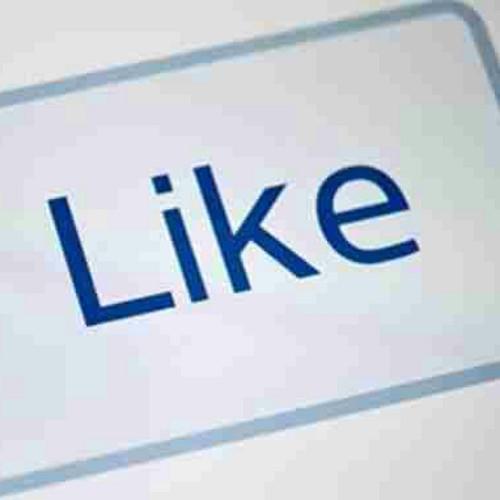 khalil23556013's profile picture. 