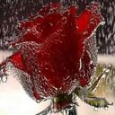 حيدر ابوطه (@000f48071a64403) Twitter