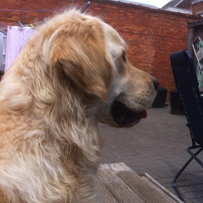 ronyvb's profile picture. 