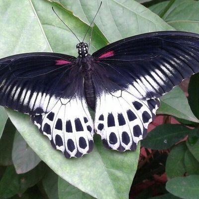 2a72ecec1b0b464's profile picture. 