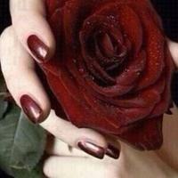 @زهرة اللوتس@ (@noora82315c) 's Twitter Profile