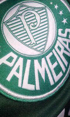 Palmeiras debate,escalação,contratações e muito mais sobre o time mais amado do mundo. #PALESTRAITALIA