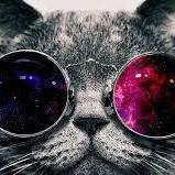 Elrabospenelope's profile picture. Olakase