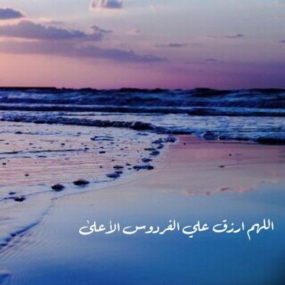 9__Ali's profile picture. 