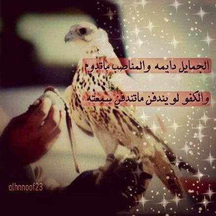 ‏حطيت لهروج المهبل ملـفـات
وحطيتها تحت القدم ورفعتني
وحطيت لهروج النشاما بطاقات 
وحفظتها فالمحفظه ونفعتني