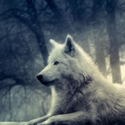 hanna827's profile picture. 