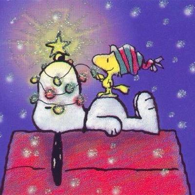 erimo98's profile picture. 