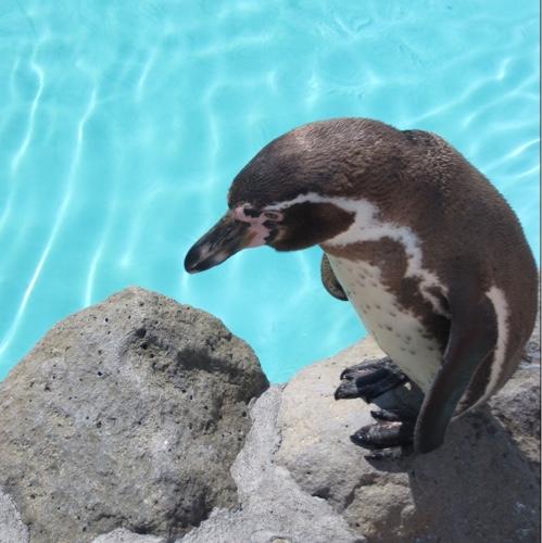 kattunntunn's profile picture. 人見知りだけどお酒がそこそこ入るとテンション上げ！ なんも考えてないようで意外と考えてるのよ！ くだらん事わけわからん事つぶやきますがヨロシクです！