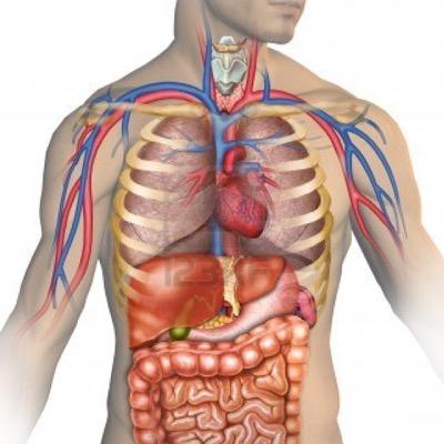 TDM_Campbell's profile picture. 