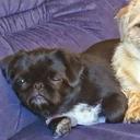 Kenny Cooper - @Kc41Kenny - Twitter