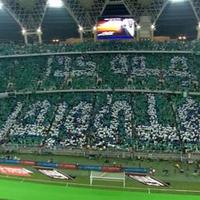 ALi H (@abuturky766) 's Twitter Profile