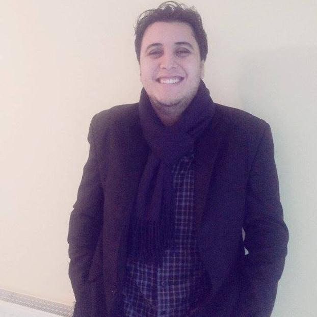 Software Developer , Database Administrator , System Administrator , Windows and Web Applications Analyzer..