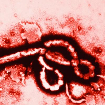 I am Ebola..... Coming to your town soon