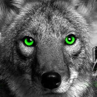 Game Up | 360 | Open Recruitments | Optimize