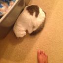 Wesley Ingram - @WesleyIngram - Twitter