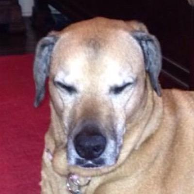 emilymarie401's profile picture. I love basketball, soccer, baseball,swimming,and volleyball

I do weekly chalenges

Follow people who follow me