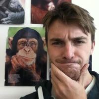 Stuart K Watson (@chimpsahoi) 's Twitter Profile