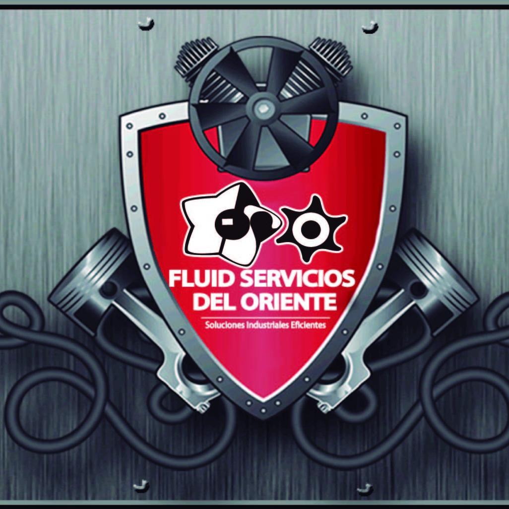 Fluid Servicios del Oriente, es una Empresa privada, dedicada al Diseño,Comercialización, 
Mantenimiento y Alquiler de sistemas neumáticos e hidráulicos.