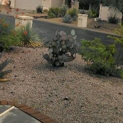 jonasaz's profile picture. sorry but this number has been discontacted