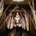 Will Frederick - @WillWillvf2 - Twitter