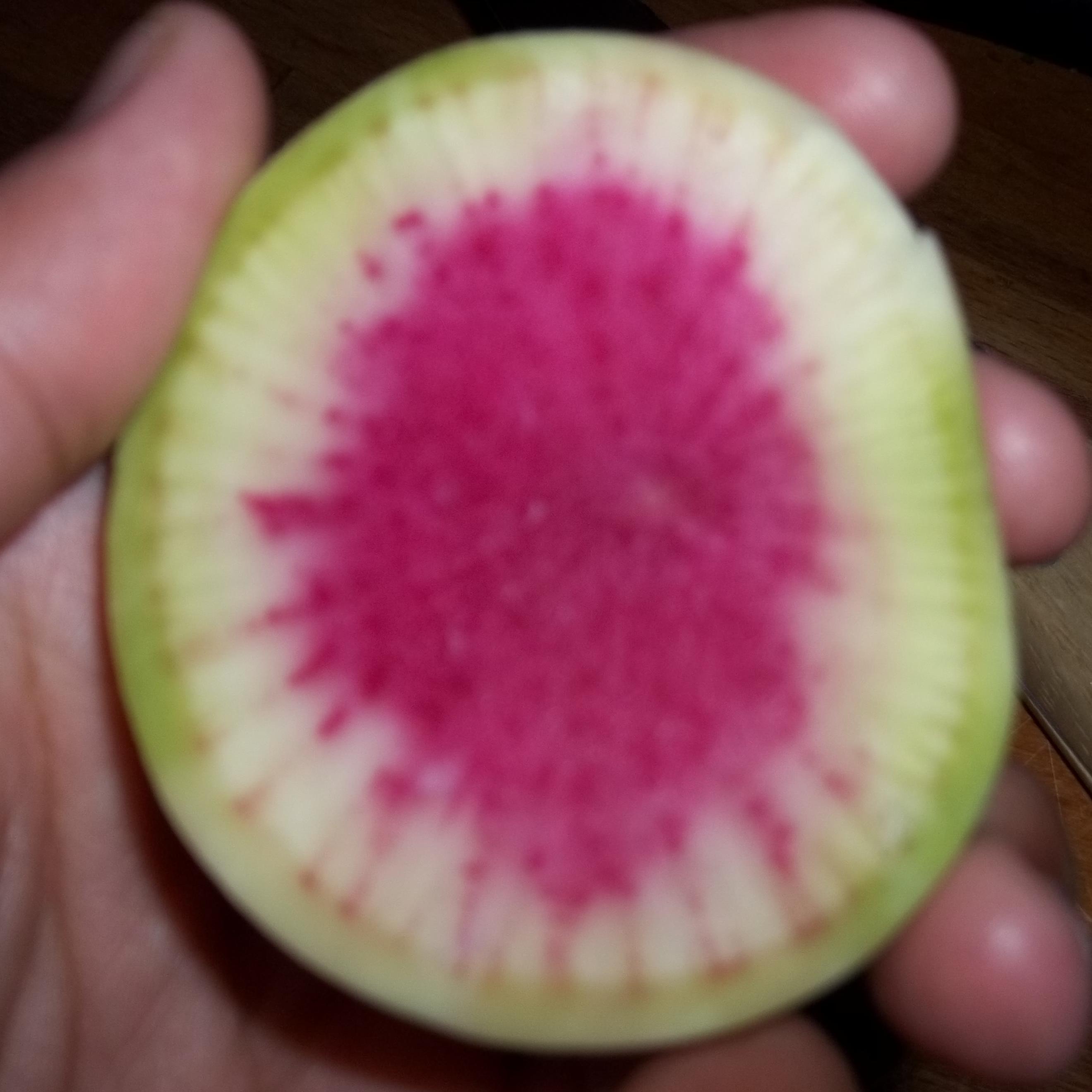 eatdirtcake's profile picture. I am a cook. I take a lot of pictures.