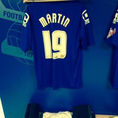 Birmingham city fan
