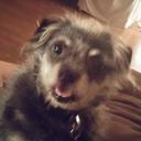 Gracie Michael - @MrsBossySis - Twitter