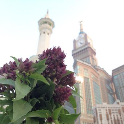 سـأرحـل فـي يـوم لـن يتـوقـعـه احـد فـتمـنوا لـي الجـنـه و ادعــــو أني من أهــــلهاا.. ((مكة))❤️