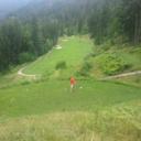 Brendan Harris - @Brendanharris17 - Twitter