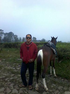 الآمال كبير