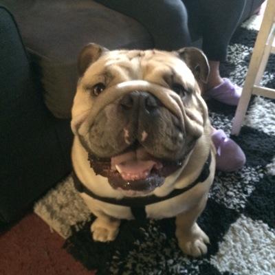 glorialucraft's profile picture. 