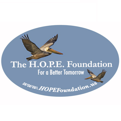 The official Twitter page of the H.O.P.E. Foundation for a Better Tomorrow, Inc. founded by Coach Frank D.B. DiCocco. Follow for daily inspiring tweets!