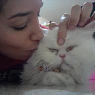 Animalosa.